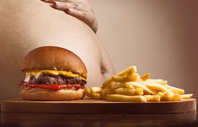 High-Fat Diet Impairs Concentration And Memory